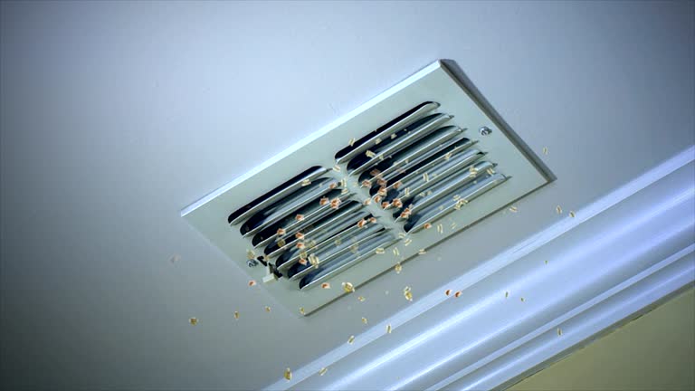 Best HVAC Maintenance and Cleaning  in Clinton, NY
